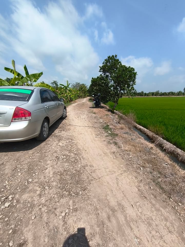 Đất nền 28000m² tại Phường An Bình, Huyện Châu Thành giá 110 triệu - Sổ hồng sẵn