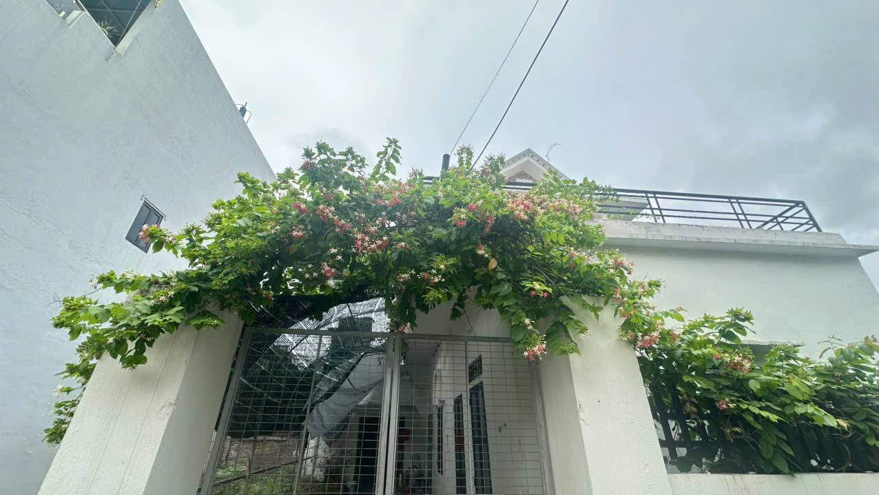 Nhà 2 tầng Thị trấn Tiền Hải 90m² giá chỉ 1 tỷ - Cơ hội vàng cho gia đình!