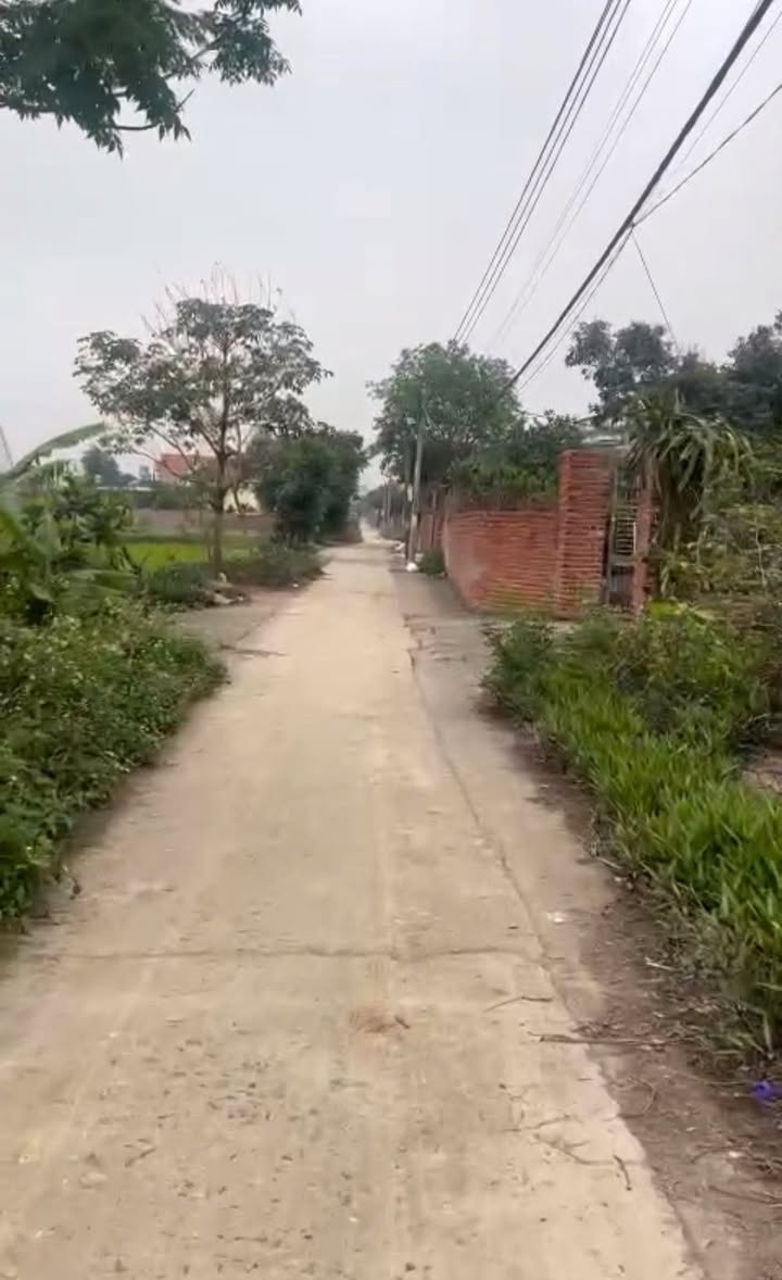 Đất thổ cư 100m² tại Tân Mỹ, Bắc Tân Uyên - Sổ hồng chính chủ, giá chỉ 6xx triệu!