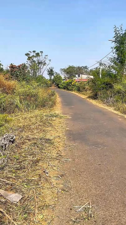 Đất nền 4000m² Huyện Chơn Thành, Bình Phước - Giá chỉ 900 triệu