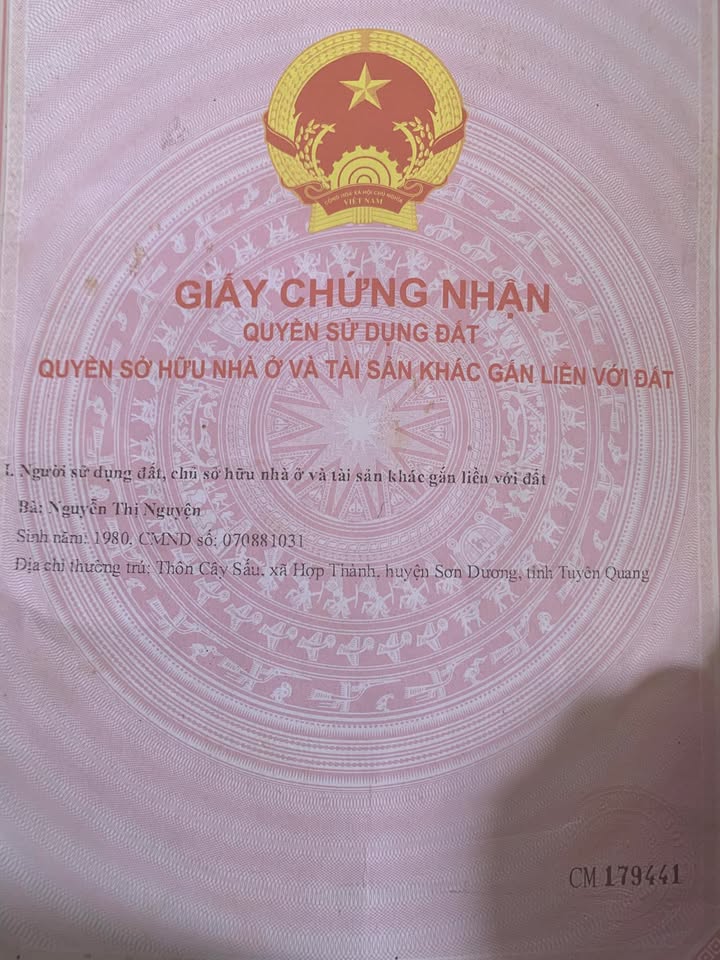 Đất nền Phường Nông Tiến, Tuyên Quang, 330m² chỉ 2 tỷ - Đầu tư sinh lời nhanh!
