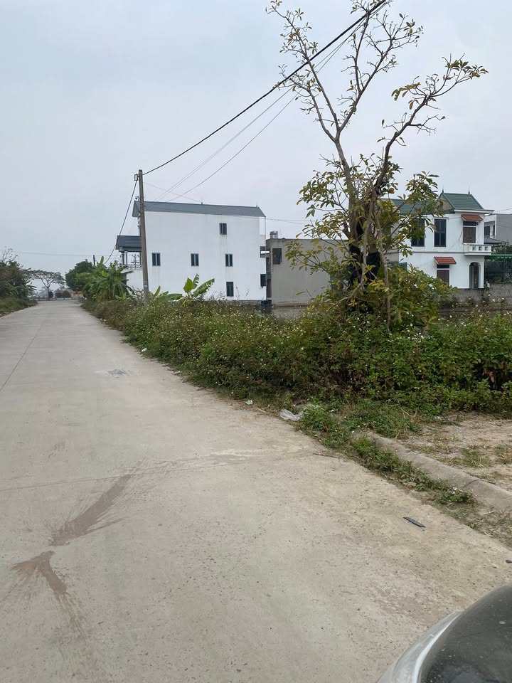 Đất nền 95m² Thành Phố Ninh Bình giá 2 tỷ - Khu vực phát triển sôi động!