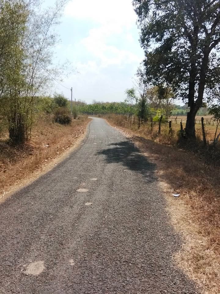 Đất nền 600m² tại Lộc Hưng, Lộc Ninh chỉ 300 triệu - Đầu tư tuyệt vời!