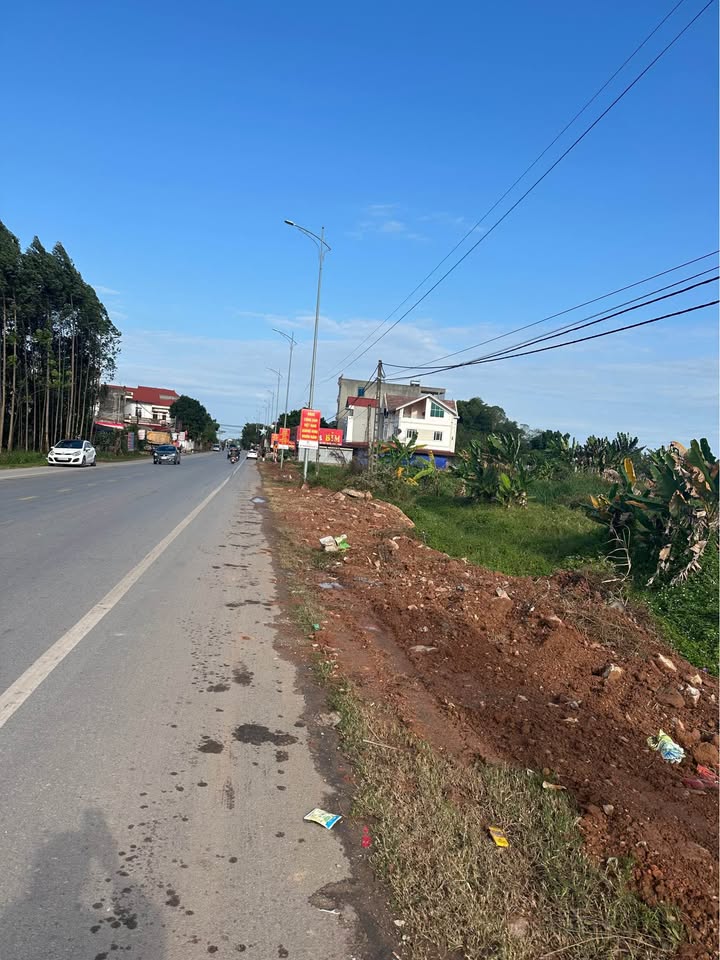 Đất nền tại QL 17, Xã Liên Sơn, Huyện Tân Yên - Diện tích 100m² - Cơ hội đầu tư tuyệt vời!