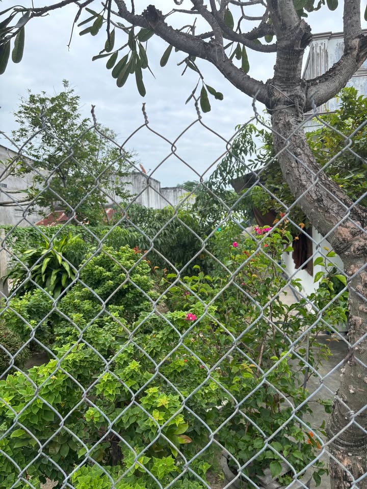 Đất nền Hòa Do 6b, Cam Phúc Bắc 125m² giá 1.9 tỷ - Chính chủ bán gấp!