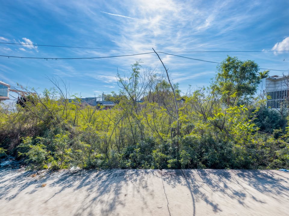 Đất nền Nguyễn Tri Phương La Gi 198m² giá 1,5 tỷ - Đầu tư sinh lời ngay!