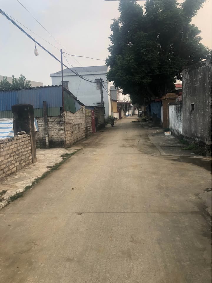 Đất nền liền kề Trấn Thành, Tân Yên, 120m² giá chỉ 9xx triệu - Cơ hội đầu tư tuyệt vời!