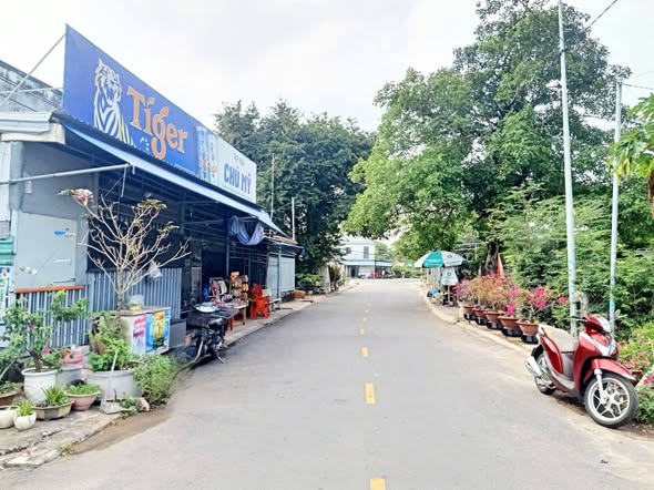 Đất nền góc 3 mặt tiền tại Long Điền 186m² giá chỉ 899 triệu - Đầu tư tiềm năng!