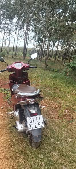 Đất nông nghiệp 1 héc tại Quang Minh, Chơn Thành giá 1.7 tỷ - Cơ hội đầu tư tuyệt vời!