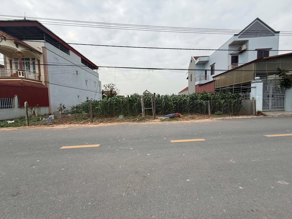 Đất nền thổ cư 600m² tại xã Ông Đình, Huyện Khoái Châu - Giá thương lượng hấp dẫn!