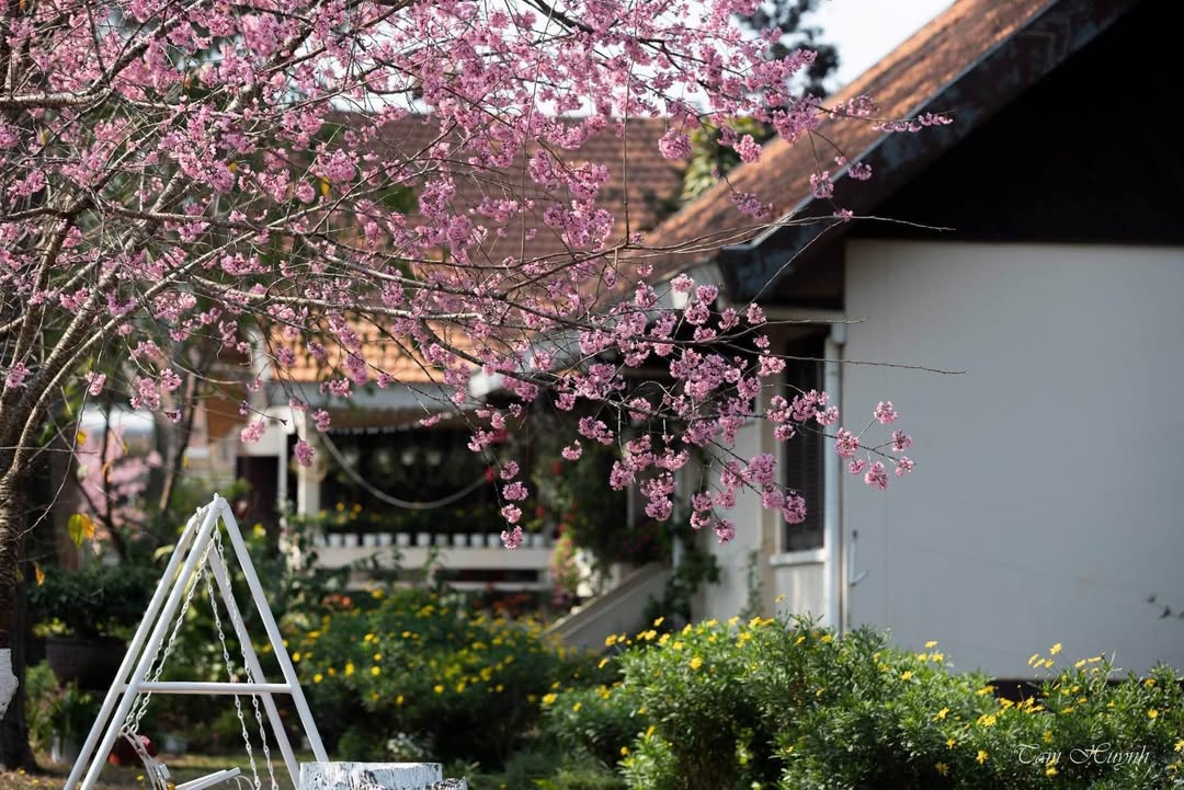 Nhà đẹp hẻm ô tô Đường Phước Thành, Đà Lạt 80m² giá 1.55 tỷ - Sẵn sàng vào ở!