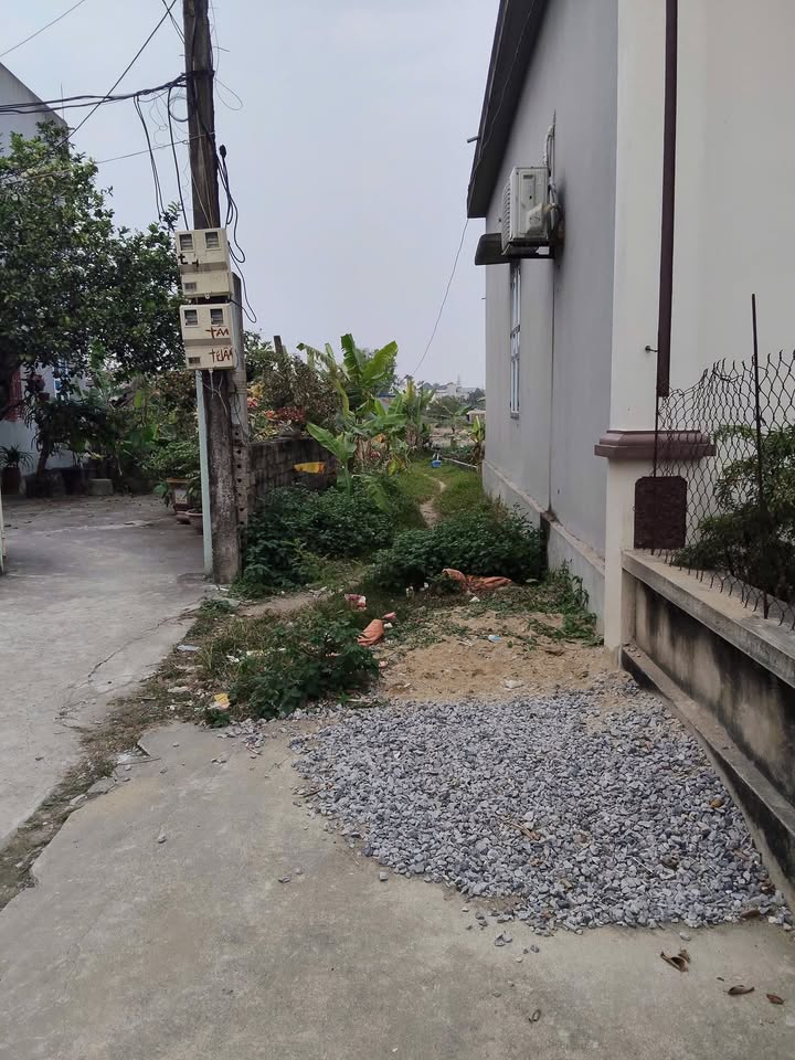 Đất nền 500m² tại Thị trấn Tân Phong, Huyện Quảng Xương - Giá 1,4 tỷ, ô tô vào tận nơi!