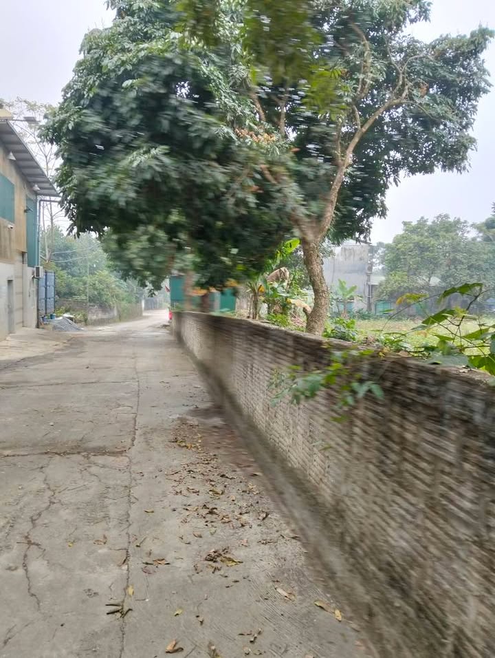 Đất nền Tổ 10, Phường Nông Tiến 360m² giá 2.35 tỷ - Cơ hội đầu tư hiếm có!