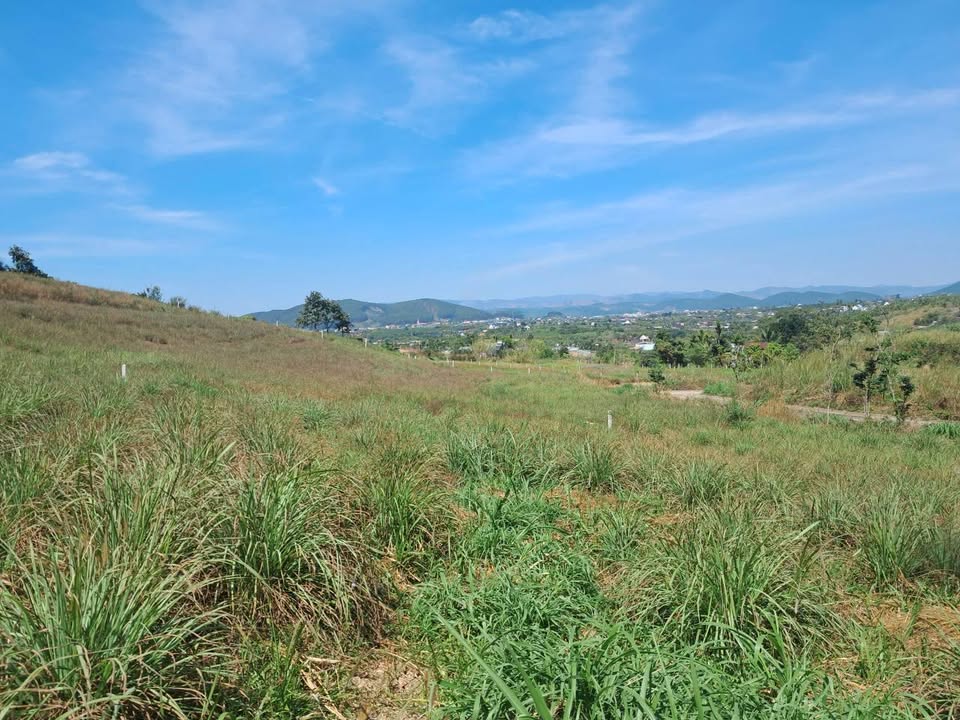 Đất nền nghỉ dưỡng Nam Ban 537m² giá 1.25 tỷ - View đồi thông tuyệt đẹp!