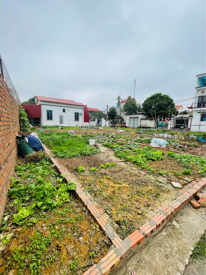 Đất nền KDT Nam Sông Đuống, Phường Ninh Xá, 60m² - Tiềm năng đầu tư lớn!