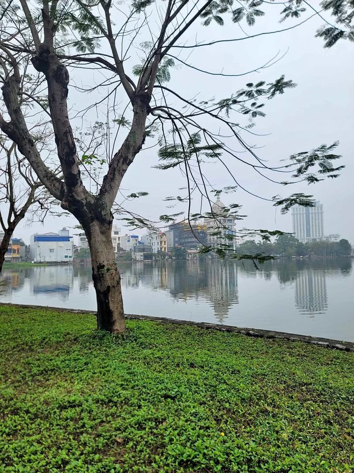 Đất mặt đường Bái Nam Định 246m² giá 5x triệu/m² - Kinh doanh thuận lợi!