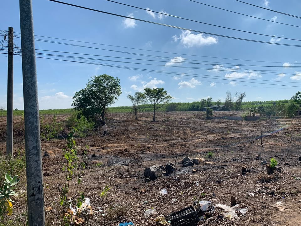 Bán FrontHouse 71m² mặt tiền đường nhựa Củ Chi - Giá tốt thương lượng