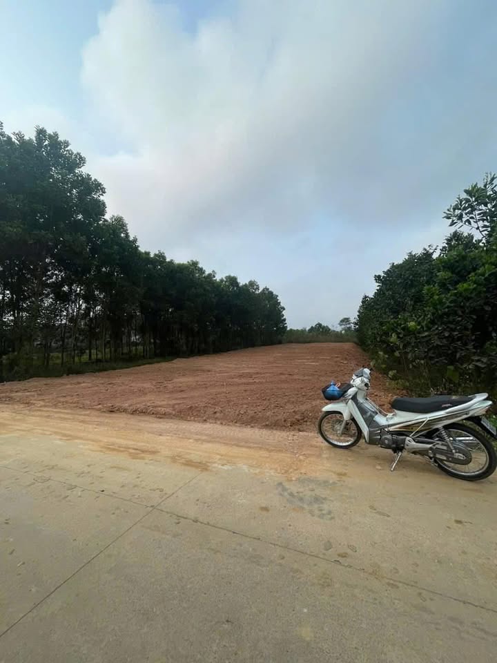 Đất nền thổ cư 125m² tại La Bằng mới, giá chỉ 7xx triệu - Cơ hội đầu tư hấp dẫn!