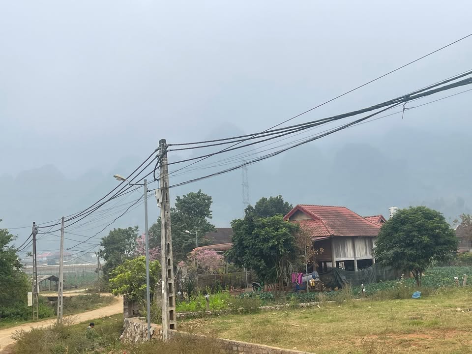 Đất vàng kinh doanh Mộc Châu 186.7m² giá thỏa thuận - Cơ hội đầu tư tuyệt vời!