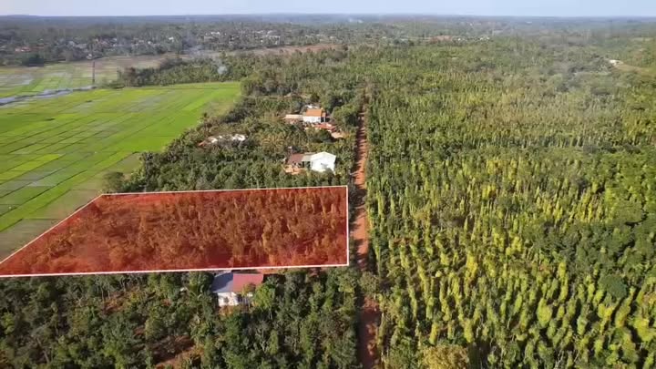 Đất nền 5000m² mặt đường 51m tại Cư Kuin - Giá chỉ 2 tỷ