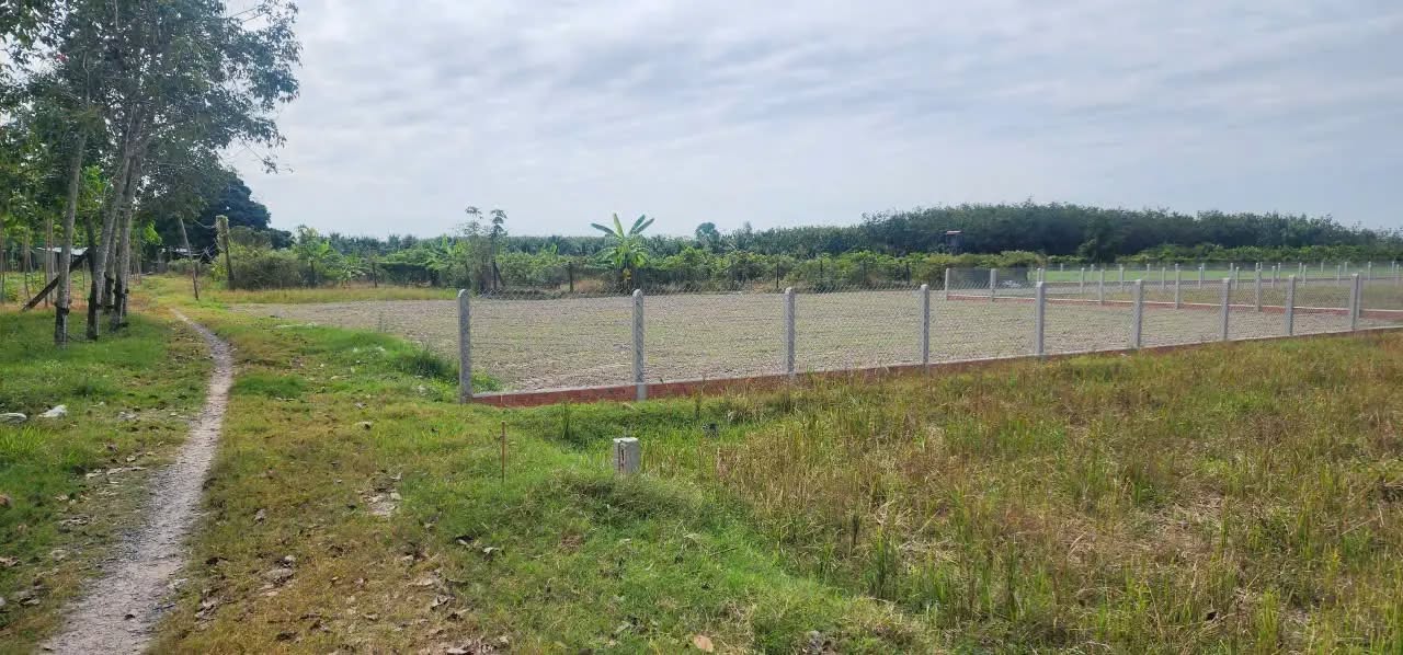 Đất thổ cư tại Bến Cầu, Tây Ninh 115m² giá chỉ 178 triệu - Cơ hội đầu tư hấp dẫn!