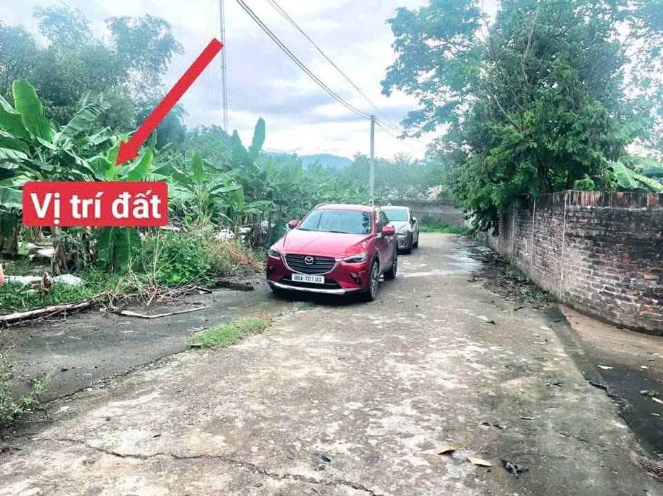 Đất thổ cư 126m² tại Làng Mấu, Đông Anh chỉ 500 triệu - Cơ hội đầu tư tuyệt vời!