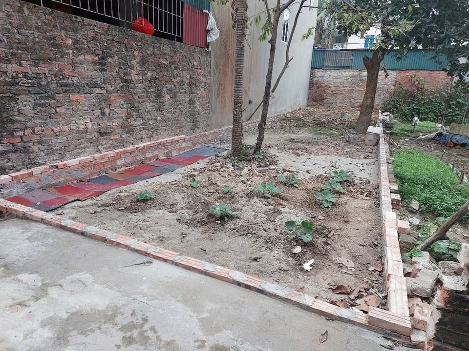 Đất nền 70m² Lương Quy giá 3 tỷ - Tiềm năng phát triển lớn!