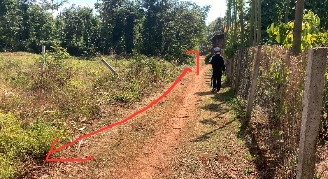 Đất nền 4 lô liền kề 100m² tại xã Ea Ktur, huyện Cư Kuin - Cơ hội đầu tư tốt nhất!