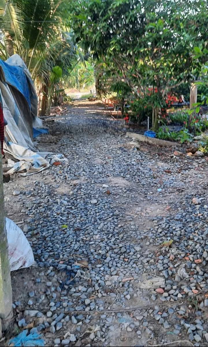 Đất nền Cầu Bà Đài, Long Hậu, 1.6ha giá 430 triệu - Đầu tư lý tưởng!