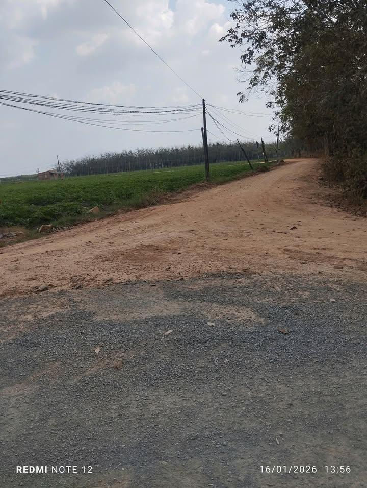 Đất vườn Tân Phong Tân Biên 13000m² giá 2 tỷ - Cơ hội đầu tư tuyệt vời!