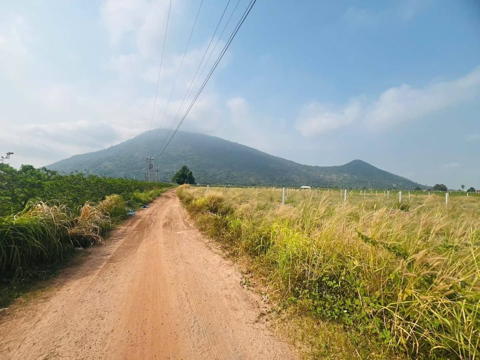 Đất nền đẹp tại xã Thạnh Tân, Tây Ninh - 1000m² chỉ 3xx triệu!