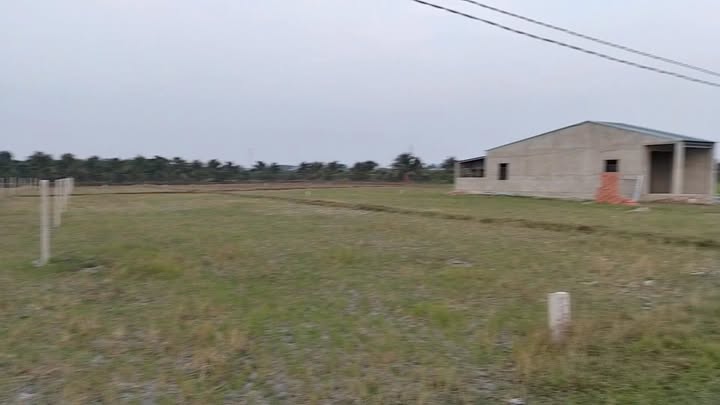 Đất Hậu Dài 5m x 100m tại Bến Cầu - Cơ Hội Đầu Tư Hấp Dẫn!