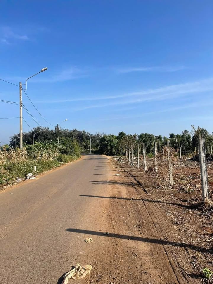 Đất nông nghiệp Thôn 3, Buôn Ma Thuột 10.500m² giá 1.95 tỷ - Đầu tư tiềm năng!