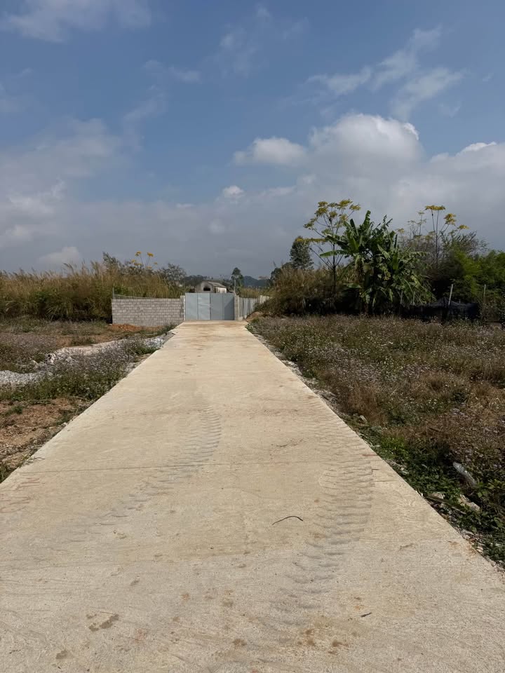 Đất nền đường Nguyễn Phong Sắc - Mai Pha, Lạng Sơn, diện tích từ 53m², giá từ 730 triệu - Đầu tư lý tưởng!