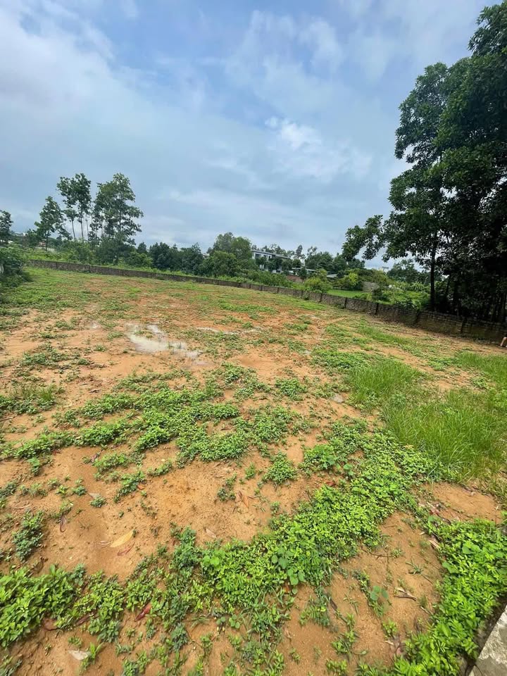 Đất thổ cư 300m² tại thôn Vĩnh Lộc, Sơn Tây 10 tỷ - Cơ hội đầu tư hấp dẫn!