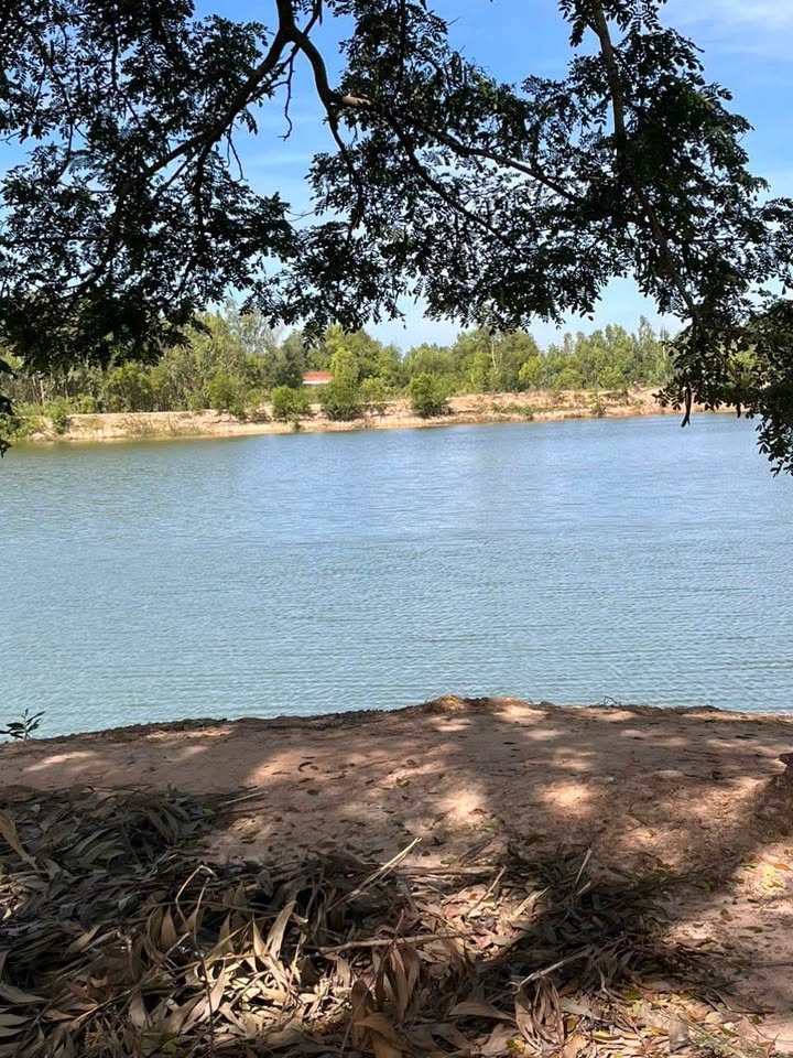 Đất nông nghiệp 24.800m² tại xã Tân Hội Cơ, Đồng Tháp - Giá chỉ 4.216 tỷ VND!