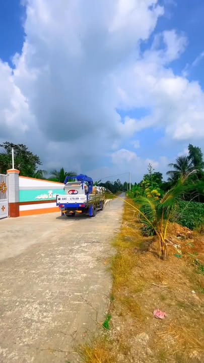 Nhà vườn Tân Điền, Châu Thành, Kiên Giang 5800m² - Cần bán gấp!