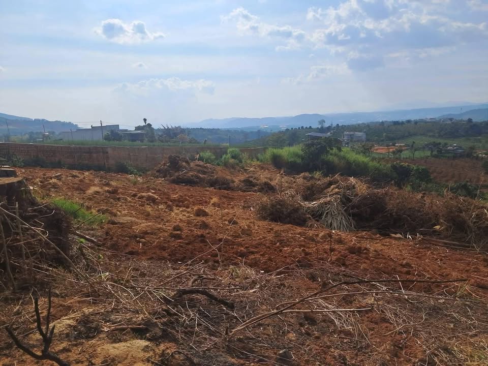 Đất cho thuê 9 sào tại Thị trấn Nam Ban, Huyện Lâm Hà - Giá 50 triệu/năm