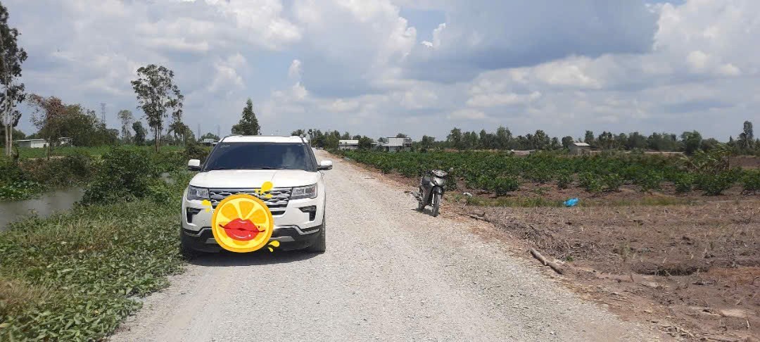 Đất vườn 17,000m² tại Tân Thành, Thủ Thừa - Giá chỉ 935 triệu VND