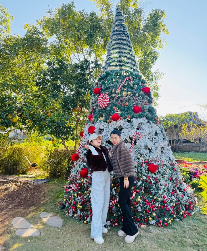 Đất nền Nà Bó 2, Mường Sang 7800m² giá 2x tỷ - Tiềm năng đầu tư lớn!