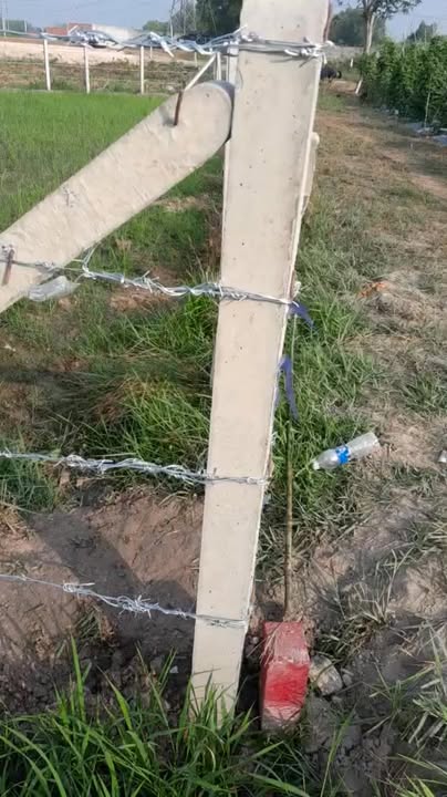 Đất nền 24m² tại Ấp Xóm Mới 2, Gò Dầu, Tây Ninh - Giá chỉ 249 triệu!