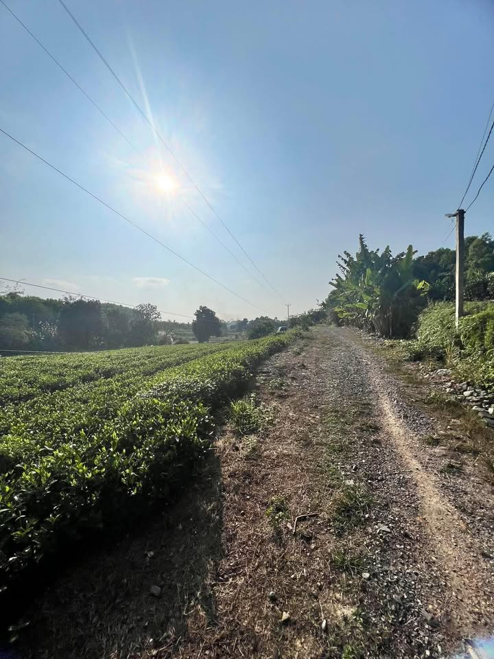 Đất nền thổ cư xã Cù Vân, huyện Đại Từ 1000m² giá 400 triệu - Cơ hội đầu tư hấp dẫn!