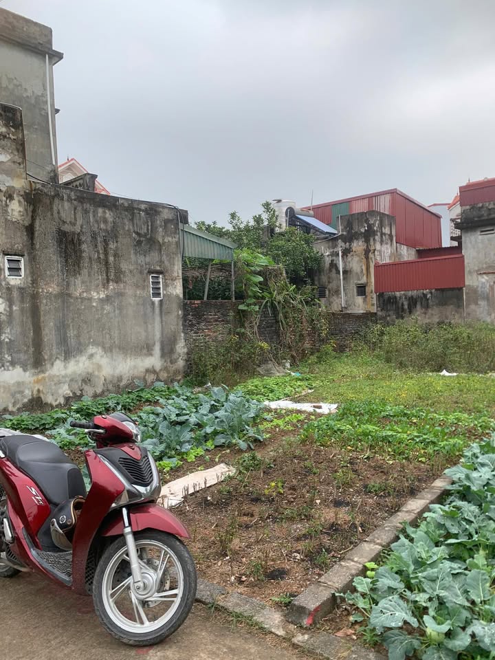 Đất nền Xã Phượng Dực 88.7m² giá 3.5 tỷ - Nở hậu nhiều lộc!