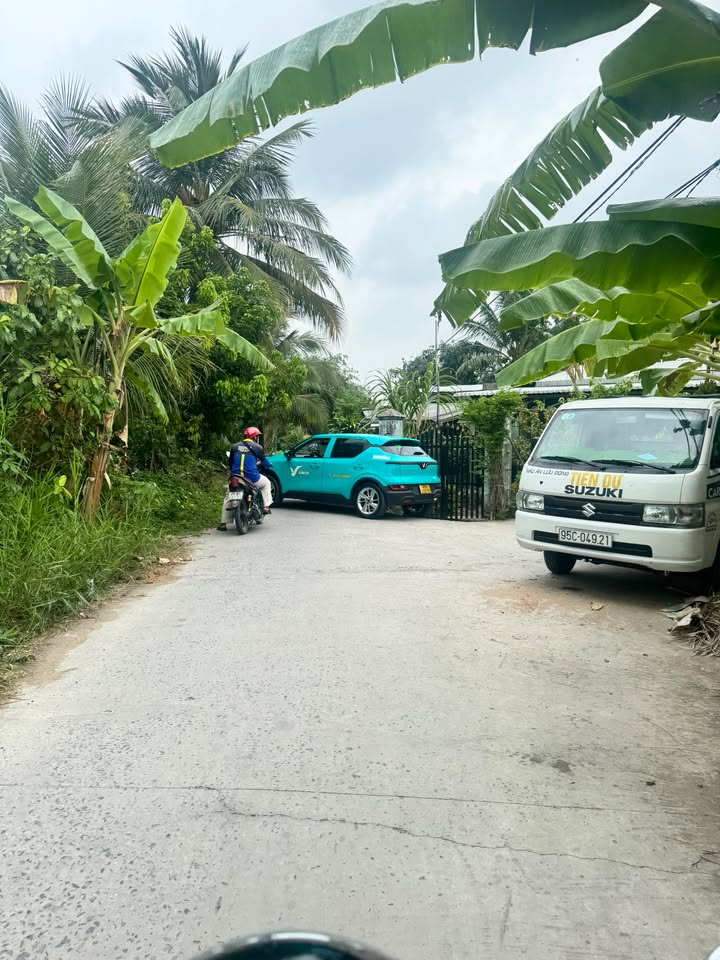 Đất Farm 3300m² tại Ninh Kiều, Cần Thơ - Giá 4.95 tỷ, Tiềm năng lớn!