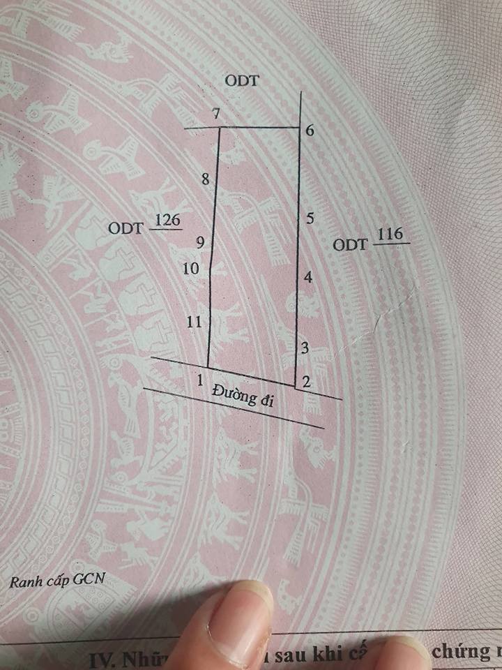 Nhà cấp 4 Khu Phố Vân Hội 1, Thị Trấn Diêu Trì, 160m² giá 1.2 tỷ - Ô tô vào tận nhà!