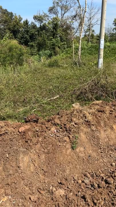 Đất nền tại km 42, Thị Xã Buôn Hồ 1200m² giá 10.44 tỷ - Đầu tư sinh lời ngay!