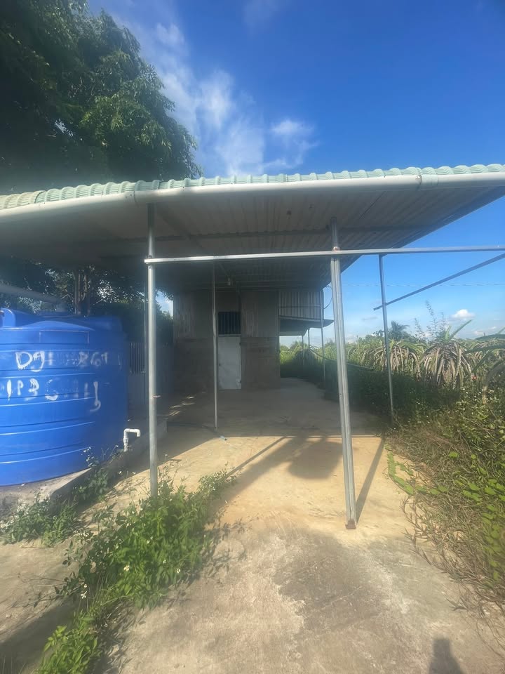 Bán gấp vườn thanh long 5133m² tại Thôn Dân Hiệp, Hàm Kiệm - Giá 570 triệu