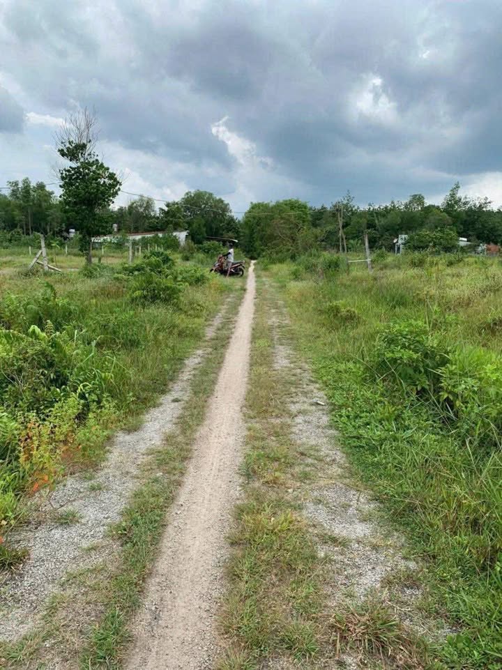 Đất sào Long Tân Dầu Tiếng 1175m² giá 900 triệu - Tiềm năng đầu tư lớn!