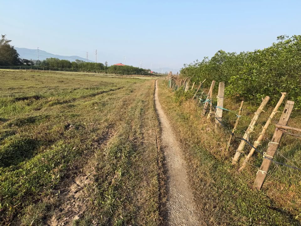 Đất thổ cư 264m² tại Thôn Trung Đoài, Xã Cẩm Ngọc, Giá 500 triệu - Cơ hội đầu tư hấp dẫn!