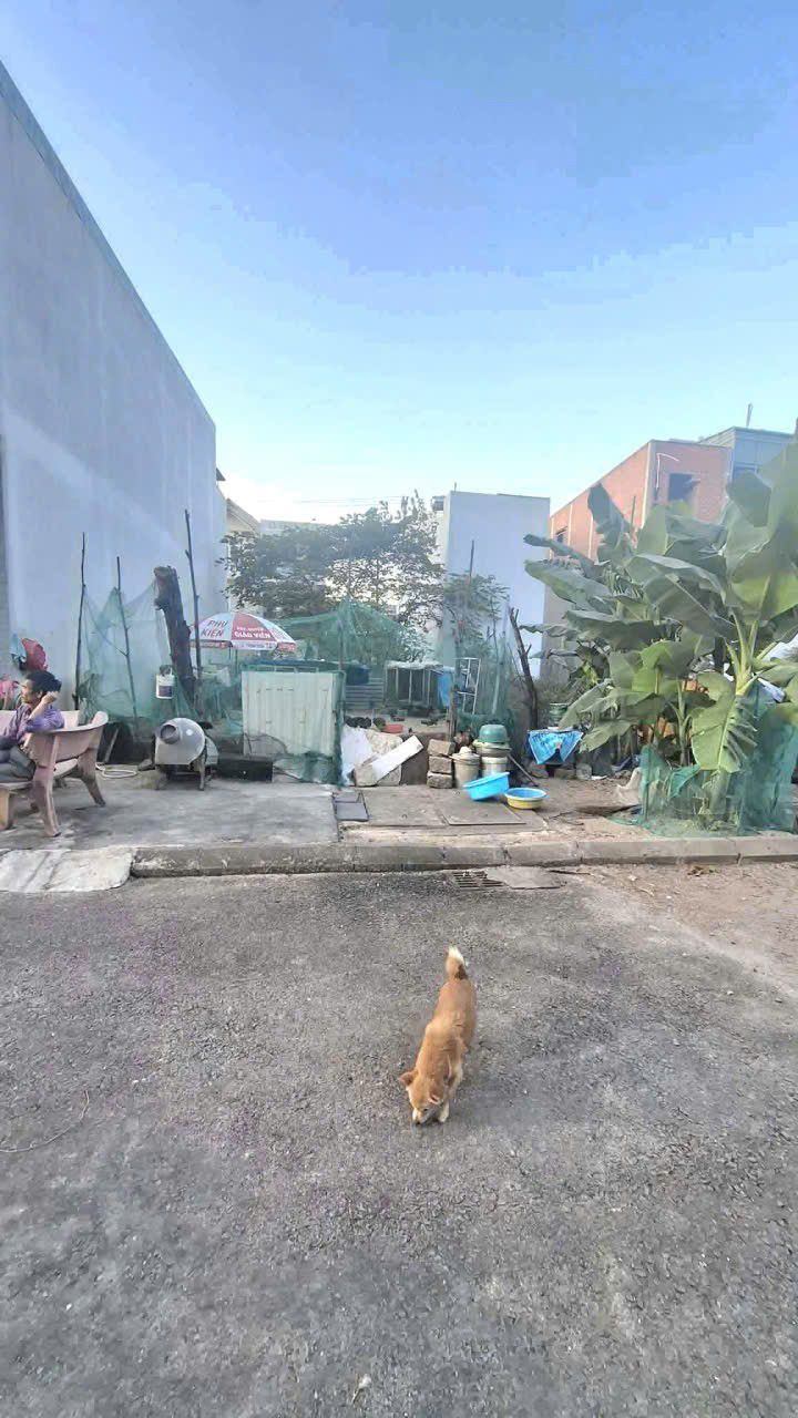 Đất Khu Đèo Son, Đống Đa, Quy Nhơn 52.5m² giá 2 tỷ - Đầu tư sinh lời hấp dẫn!